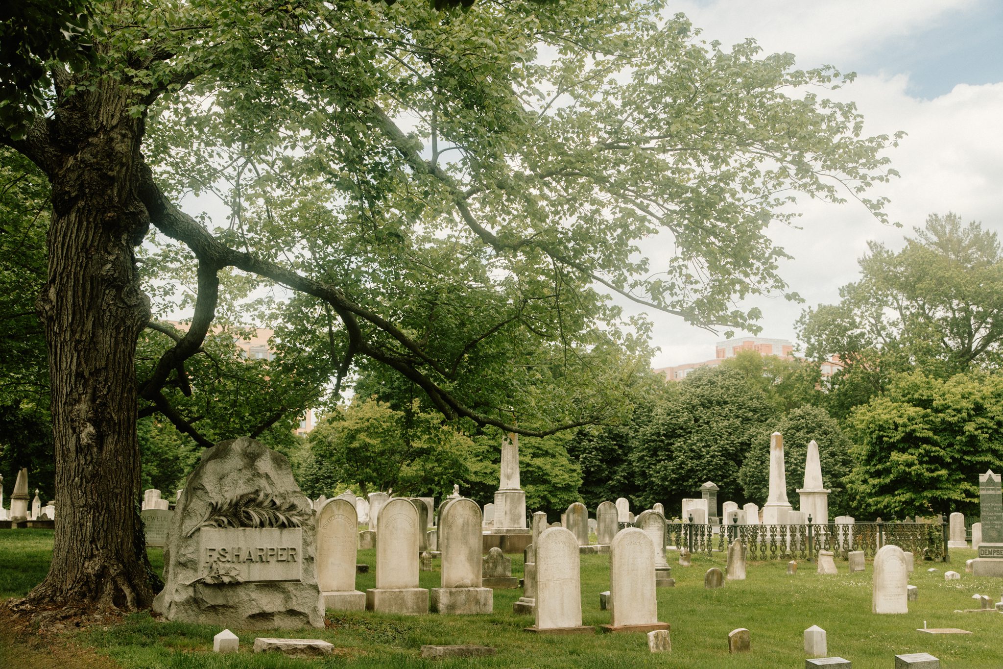 A tranquil view of the Presbyterian Cemetery, where historic gravestones lie beneath a towering tree