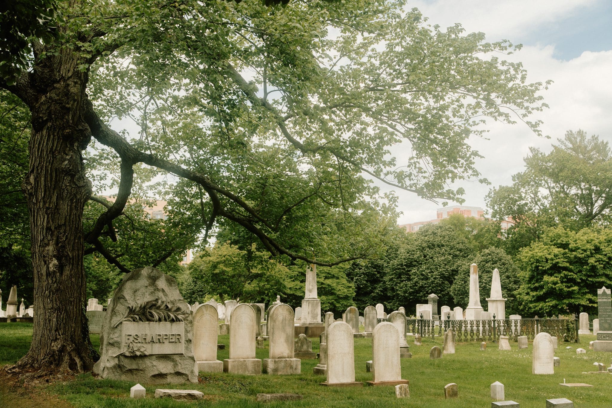 A tranquil view of the Presbyterian Cemetery, where historic gravestones lie beneath a towering tree